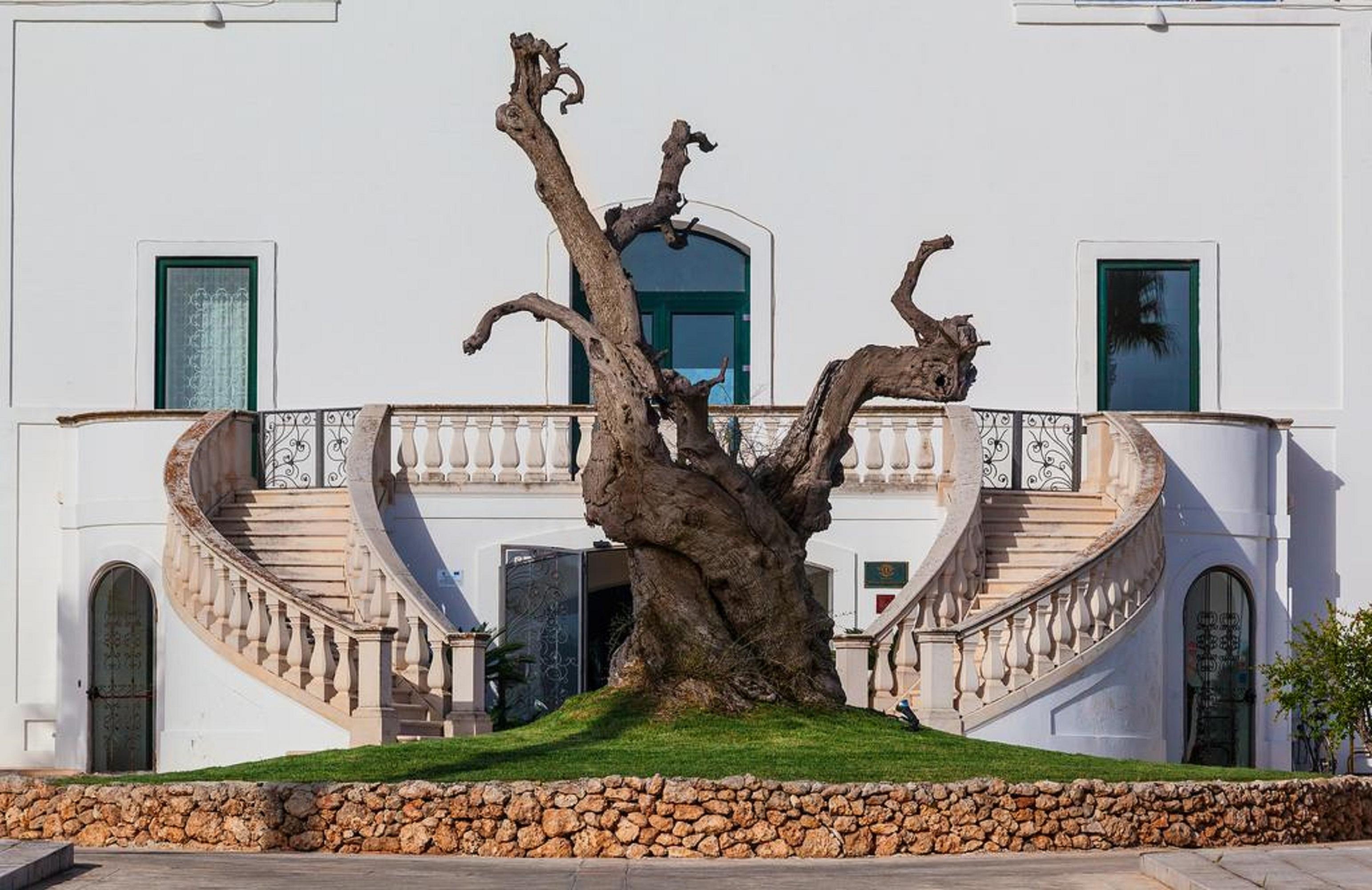 Hotel Masseria Relais Del Cardinale Fasano Zewnętrze zdjęcie